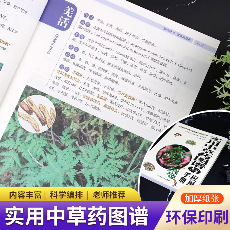 Wellness Herbal Medicine - Pratik Bitkisel Atlas ve Kılavuz: Tam