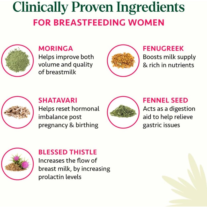 60 Kapsül Ayurvedik Emzirme De - Ayurvedic & Herbal Wellness Kits incelemesi ve fiyatı