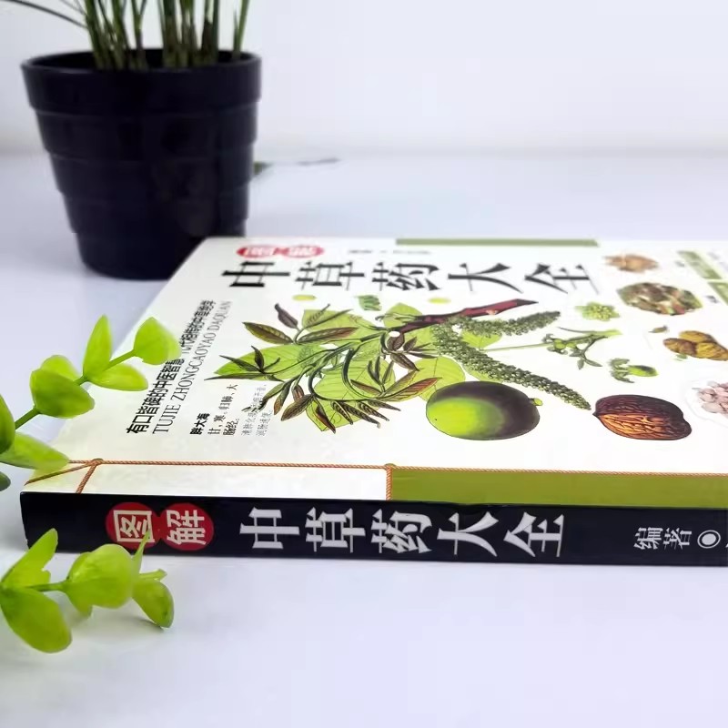 Antik Bitki Koleksiyonu Tamçık - Wellness Herbal Medicine incelemesi ve fiyatı