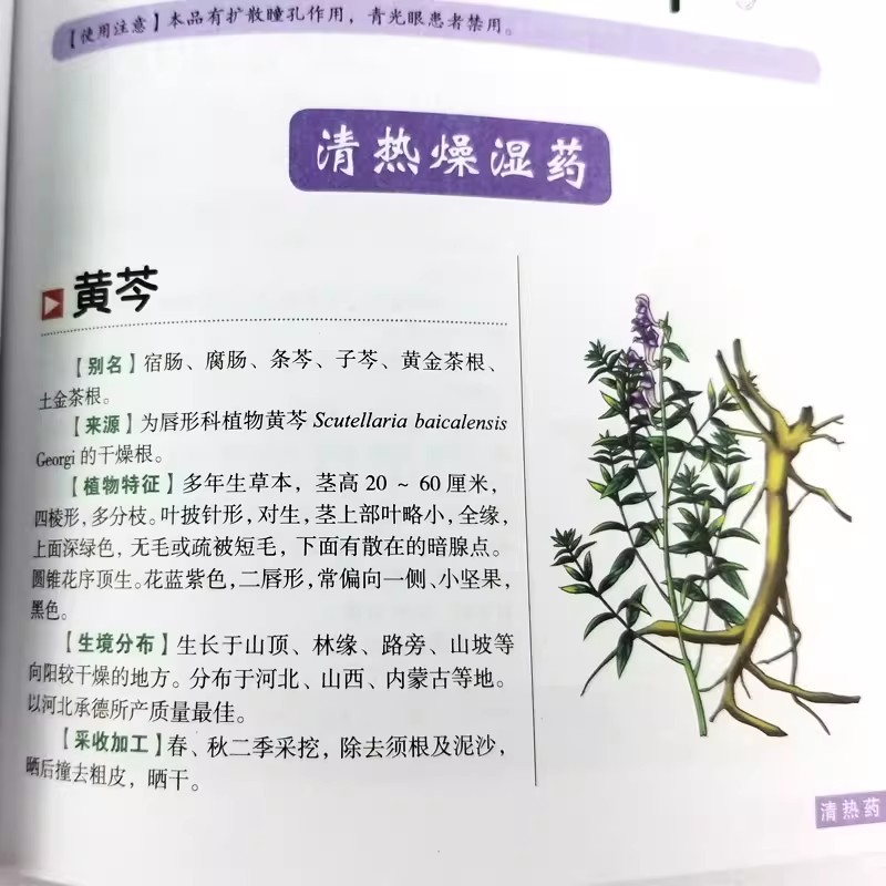 Antik Bitki Koleksiyonu Tamçık - Wellness Herbal Medicine incelemesi ve fiyatı
